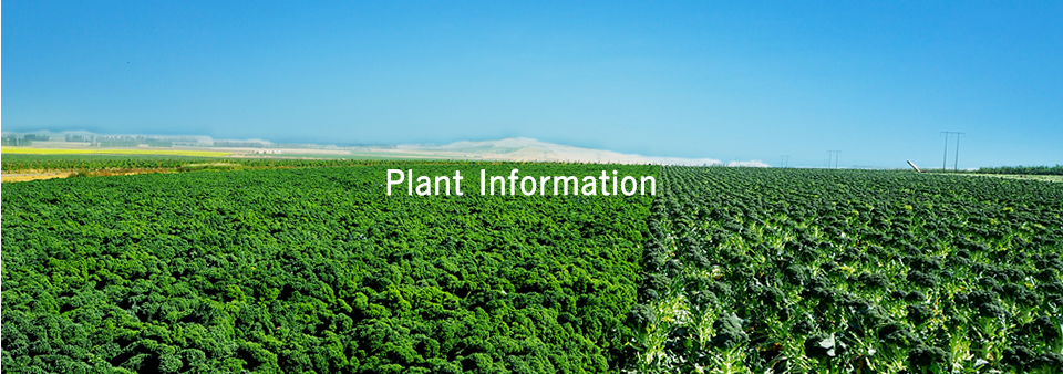 Plant Information